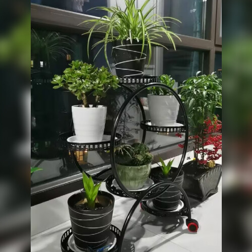 Чиара, 29 години